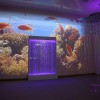 Проекционный дизайн "Виртуальная реальность" базовый комплект 500 анимаций - «globural.ru» - Балашиха
