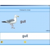 Английский язык. Освоение клавиатуры - «globural.ru» - Балашиха