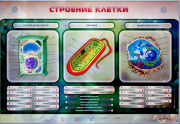 Стенды для кабинета биологии - «globural.ru» - Балашиха
