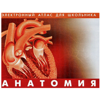 Анатомия. (Цифровой атлас школьника) - «globural.ru» - Балашиха