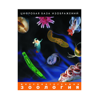 Зоология. Микрофотографии. (Цифровая база изображений) - «globural.ru» - Балашиха