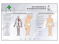 Электрифицированный стенд "Остановка кровотечения" - «globural.ru» - Балашиха