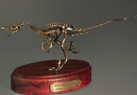 Модель скелета динозавра Velociraptor - «globural.ru» - Балашиха