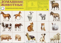 Демонстрационные карточки "Домашние животные" - «globural.ru» - Балашиха
