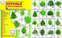 Демонстрационные карточки "Деревья и кустарники" - «globural.ru» - Балашиха