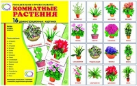 Демонстрационные карточки "Комнатные растения" - «globural.ru» - Балашиха