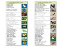 Комплект карточек (10) "Обучающий калейдоскоп. Природа" - «globural.ru» - Балашиха