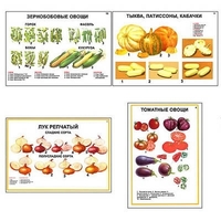 Плакаты ПРОФТЕХ "Ассортимент овощных культур" (12 пл, винил, 70х100) - «globural.ru» - Балашиха