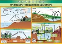 Таблица Круговорот веществ в биосфере 1000*700 винил - «globural.ru» - Балашиха