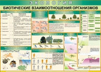 Таблица Биотические взаимоотношения организмов 1000*700 (винил) - «globural.ru» - Балашиха
