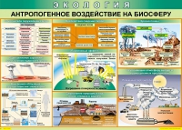 Таблица Антропогенное воздействие на биосферу 1000*700 винил - «globural.ru» - Балашиха