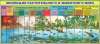 Стенд "Эволюция растительного и животного мира" - «globural.ru» - Балашиха