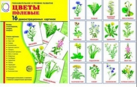 Демонстрационные карточки "Цветы полевые" - «globural.ru» - Балашиха
