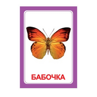Логопедка "Ч" (логопедические карточки) - «globural.ru» - Балашиха