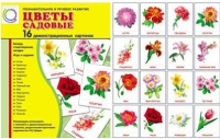 Демонстрационные карточки "Цветы садовые" - «globural.ru» - Балашиха