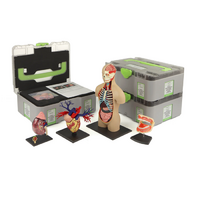 Учебный набор "Анатомия в деталях" - «globural.ru» - Балашиха