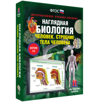 Наглядная биология. Человек. Строение тела человека - «globural.ru» - Балашиха