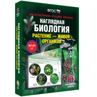 Наглядная биология. Растение - живой организм - «globural.ru» - Балашиха