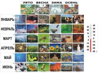 Фенологические наблюдения - «globural.ru» - Балашиха