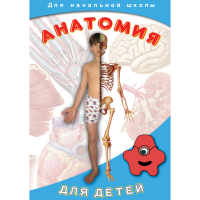 DVD  Анатомия для детей - «globural.ru» - Балашиха