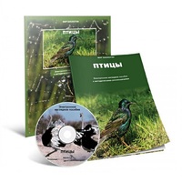 Электронное наглядное пособие «Птицы» - «globural.ru» - Балашиха