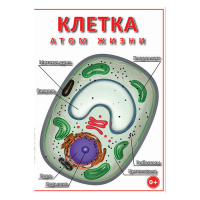 DVD Клетка - "атом жизни" - «globural.ru» - Балашиха