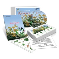 Комбинированное наглядное пособие «Растения» - «globural.ru» - Балашиха