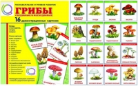 Демонстрационные карточки  "Грибы съедобные и не съедобные" - «globural.ru» - Балашиха