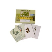 Гербарий "Деревья и кустарники" (22 вида, с иллюстрациями) - «globural.ru» - Балашиха