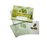 Гербарий "Дикорастущие растения" (30 видов, с иллюстрациями) - «globural.ru» - Балашиха