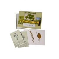 Гербарий "Лекарственные растения" (22 вида, с иллюстрациями) - «globural.ru» - Балашиха