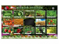 Комплект оборудования "Живой уголок" (растения) - «globural.ru» - Балашиха
