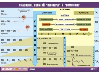Таблица демонстрационная "Сравнение понятий изомер и гомолог" (винил 100х140) - «globural.ru» - Балашиха