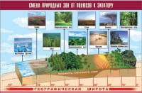 Таблица демонстрационная "Смена природных зон от полюсов к экватору" (винил 70x100) - «globural.ru» - Балашиха