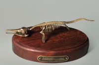 Модель скелета ихтиозавра Ichthyosaurus - «globural.ru» - Балашиха