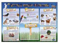 Стенд-уголок "Друзья наши меньшие" - «globural.ru» - Балашиха