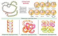 Плакаты и таблицы по общей химии - «globural.ru» - Балашиха