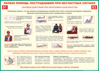 Таблица Порядок действий при переломах конечностей 1000*1400 винил - «globural.ru» - Балашиха