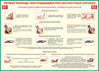 Таблица Порядок действий при ранениях и термических ожогах	 1000*1400 винил - «globural.ru» - Балашиха