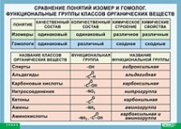 Химия. Сравнение понятий изомер и гомолог. Функциональные группы классов органических веществ (винил) - «globural.ru» - Балашиха