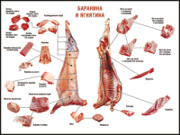 Правила разделки мясных туш "Баранина и ягнятина" 1000*1400 винил - «globural.ru» - Балашиха