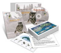 Комбинированное наглядное пособие «Животные» - «globural.ru» - Балашиха