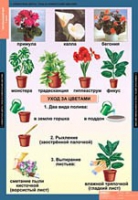 Окружающий мир 1 класс (комплект таблиц) - «globural.ru» - Балашиха