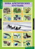 Окружающий мир 4 класс (комплект таблиц) - «globural.ru» - Балашиха