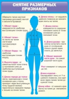 Стенд "Снятие мерок" (вариант 2) - «globural.ru» - Балашиха