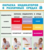 Стенд "Окраска индикаторов в различных средах" - «globural.ru» - Балашиха