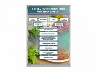 Стенд "Схема приготовления мясных котлет" - «globural.ru» - Балашиха
