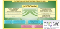 Стенд "Методы селекции и биотехнологии" - «globural.ru» - Балашиха