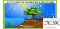 Стенд "Круговорот веществ" - «globural.ru» - Балашиха