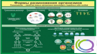 Стенд "Формы размножения организмов" - «globural.ru» - Балашиха